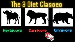 Which Diet Class Should You Choose?