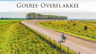 Heck cattle and birds on Dutch island Goeree-Overflakkee - Cycling in The Netherlands