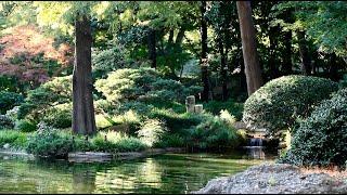 Musica Relajante, Calmar la Mente, Música Zen, Relajación Dormir