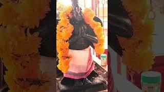 srinivas perumal temple siruvelliyanallur village #bakthivideos #temple