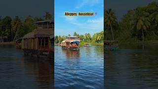 Alleppey Houseboat | Kerala Backwaters 2024 #travel #alappuzha #houseboat