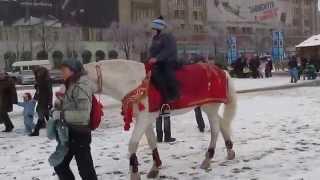 Катание на лошади Харьков Площадь свободы Horse riding Kharkov