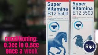 SUPERVITAMINA B12 5500 GAMEFOWL CONDITIONING GUIDE