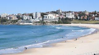 NSW limo driver who sparked Bondi delta outbreak fined for COVID breach