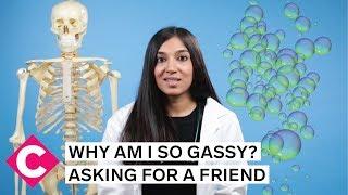 Why am I so gassy? | Asking for a Friend