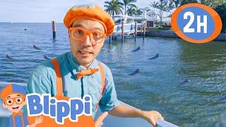 Blippi's Boat Goes to Sea + More | Blippi and Meekah Best Friend Adventures