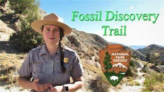 Virtual Hikes: Fossil Discovery Trail | Dinosaur National Monument