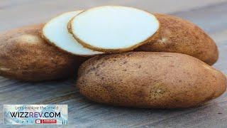 Potato (Mid-Season) Russet Norkotah – Seeds Review