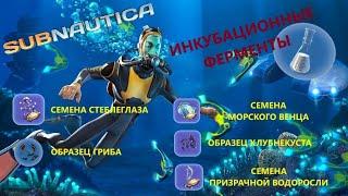 ГДЕ НАЙТИ ВСЕ КОМПОНЕНТЫ ДЛЯ ИНКУБАЦИОННЫХ ФЕРМЕНТОВ??? // SubNautica