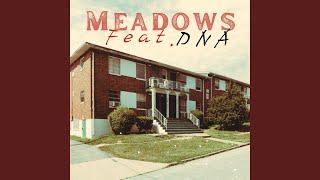 Meadows (feat. DNA)