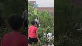 Detik-detik Layangan Putus Robek Oleh Bocil  #viral #viralvideo #tasikmalaya #trending #video