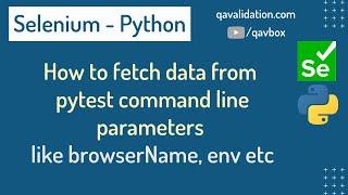 Fetch data from pytest command line arguments like browserName env etc