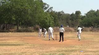 Watchout for low bouncy! #shorts  #cricket