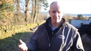 IMV imaging (prev. BCF Technology) sheep scanning course with Duncan Kennedy