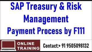 SAP S4HANA Treasury and Risk Management|| Deal Creation and Payment through F111|| In English