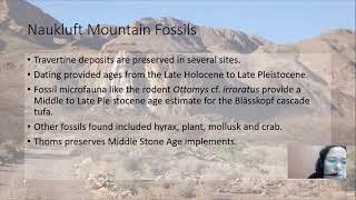 Interesting fossils from southern Namibia and the Naukluft Mountains
