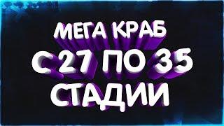 МЕГА КРАБ С 27 ПО 35 СТАДИИ!