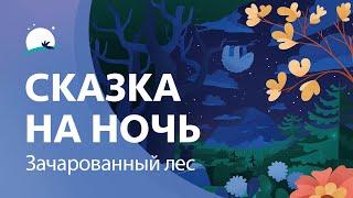 Сказка на ночь | Зачарованный лес | Скорее заснуть | BetterSleep