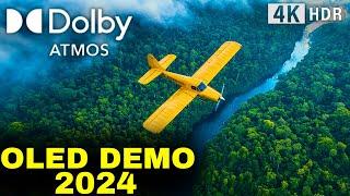 "OLED DEMO 2024, Dolby Atmos 240 FPS: The Smoothest 4K HDR Demo You’ll EVER See!"