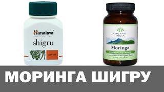 Моринга. Moringa. Шигру. Shigru. Аюрведа Здесь