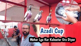 3 Baby Pigeon Wala Cup Uraya | Azadi Cup | Hashim Mahmood Pigeons