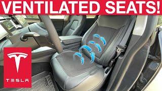 Tesla Model 3/Y Now Has A Ventilated Seat Option!