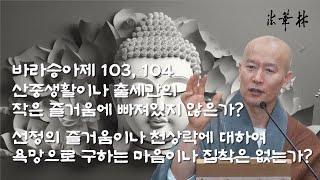 법문 [바라승아제 103, 104] 산중생활이나 출세간의 작은 즐거움에 빠져있지 않은가? / 선정의 즐거움이나 천상락에 대하여 욕망으로 구하는 마음이나 집착은 없는가?