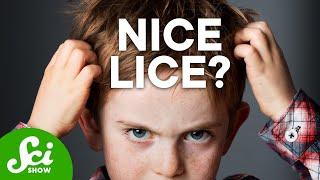 7 Horrible Truths About Lice