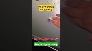 Ок Атылды  Америкадагы Коркунучтуу Кабар #тезкабар #news #жанылыктар #жапаров #ташиев #мигранты