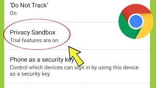 Chrome Browser Privacy Sandbox Settings