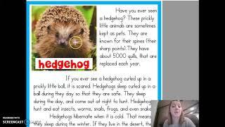 Hedgehog Info