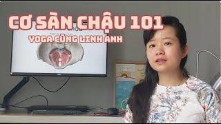 Cơ Sàn Chậu 101 | Chuẩn bị cho thai kỳ suôn sẻ nhất