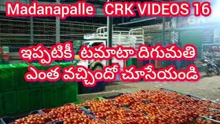 Madanapalle Tomato stock details  #crkvideos16 #tomatoprices