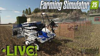 Planting Rice Caring For The NEW Animal Types Water Buffalo And Goats! Farming Simulator 25 FS25