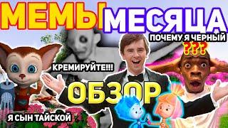 Мемы Месяца. Обзор лучших Мемов Весны