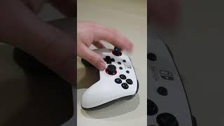 Nintendo’s ‘Elite’ Controller 