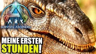 Meine ersten Stunden in Ark Survival Ascended