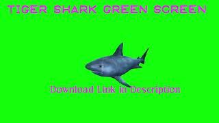 Shark Green Screen Video | Effects Market App