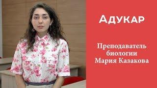 Преподаватель Адукара по биологии Мария Казакова