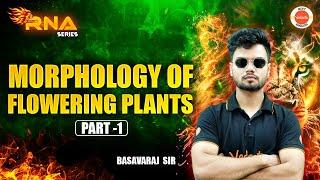 Morphology of flowering plants Part 1| Class 12 | NCERT | NEET 2025 BIOLOGY | BASAVARAJ SIR