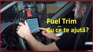 Ce este Fuel Trim și cum ne ajută în diagnoză?