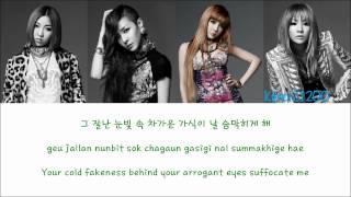 2NE1 - Ugly [Hangul/Romanization/English] Color & Picture Coded HD