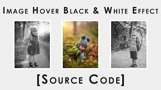 Image Hover Black and White Css Effect | Css Hover Effect | Black and White Css Effect [2020]