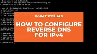 WHM Tutorials- How to Configure Reverse DNS for IPv4