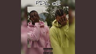 PDL #2