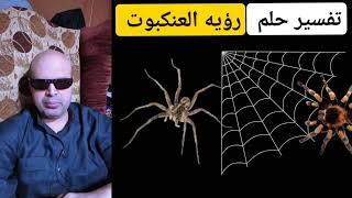 رؤيه واسرار العنكبوت في المنام،Vision and secrets of spider in a dream, Mahmoud Mansour