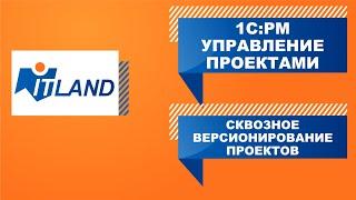 Превью вебинара «Ежемесячный прогноз исполнения темплана. Сквозное версионирование проектов»