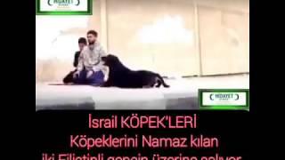 #İsrail askerleri köpekleri Namaz kalın Filistinlilerin üzerine böyle salıyor