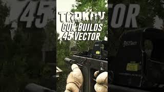 Gun Build .45 Vector - Escape From Tarkov