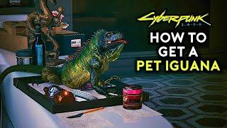 Cyberpunk 2077 Secret Iguana Pet Easter Egg (NEW Patch 1.5 DLC Content)